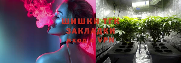 шишки Абинск