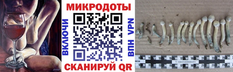 Галлюциногенные грибы ЛСД  Беломорск 