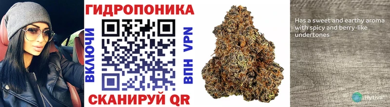 Шишки марихуана Ganja  где найти   Беломорск 